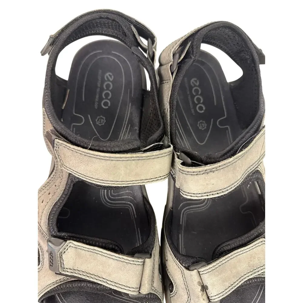 Ecco step into
